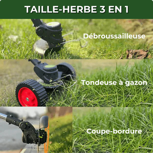 Notre Best-Seller
